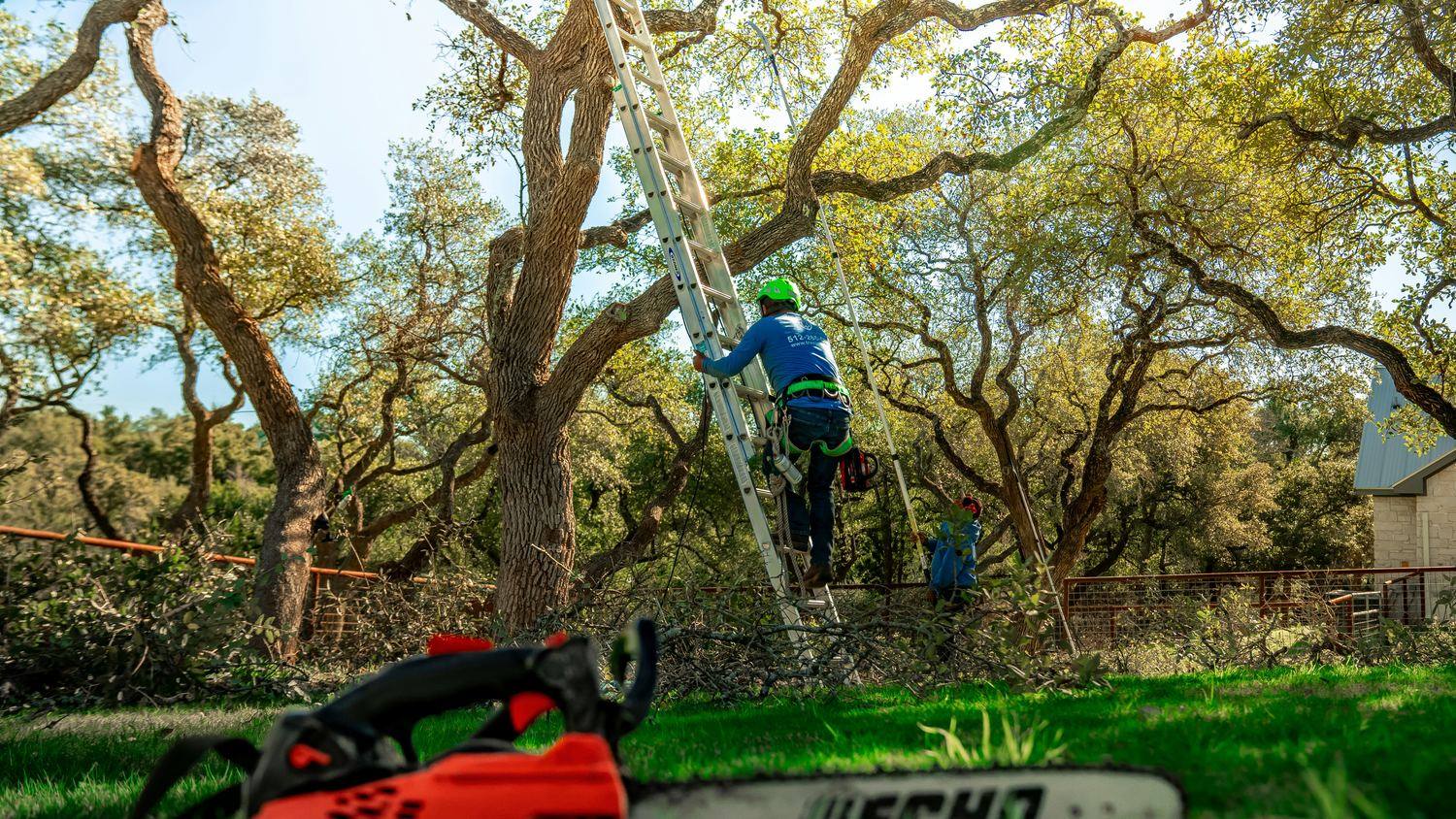 Local Corvallis tree removal crew responding to a job