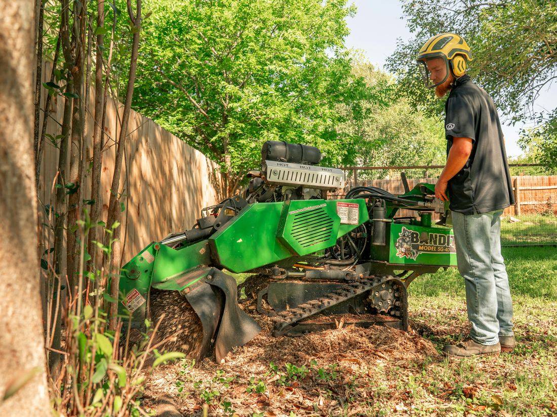 Worker operating Bandit stump grinder in residential backyard — stump grinding in Corvallis, Oregon